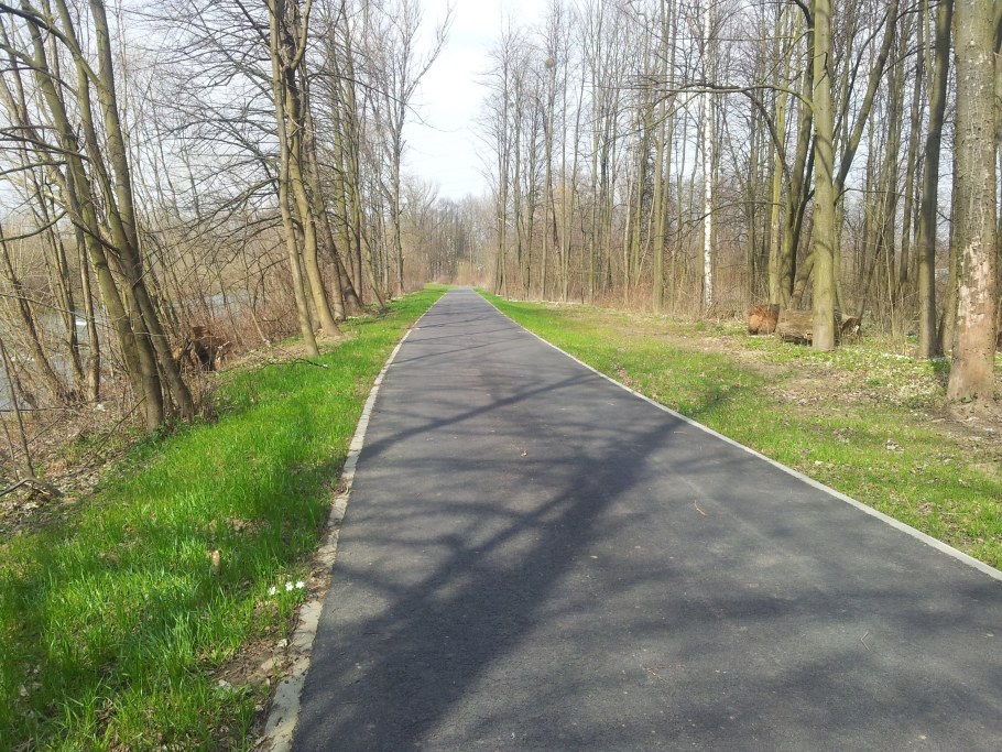 Асфальтовая дорожка