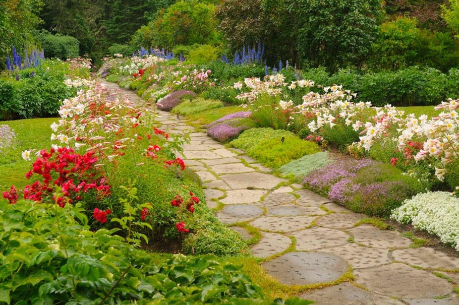 Розарий партер