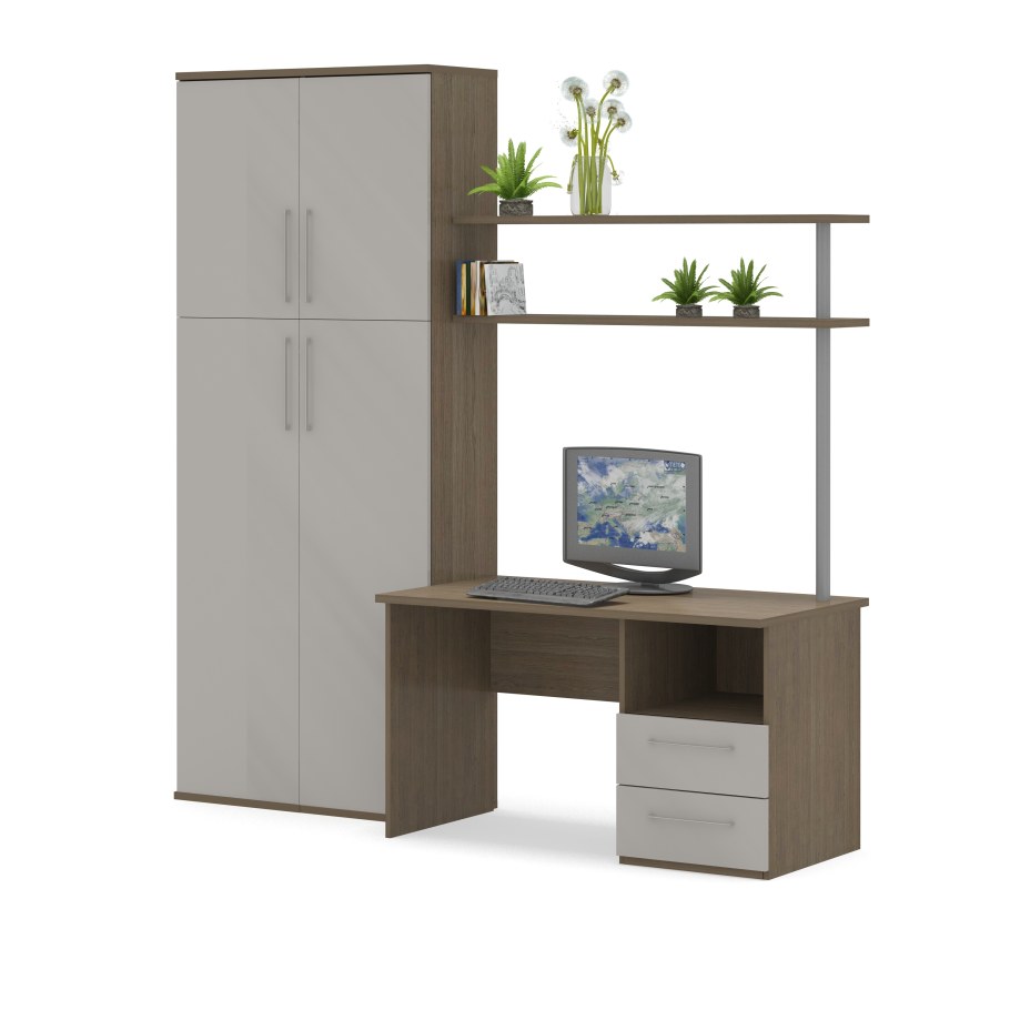 Дуб Шамони дуб молочный