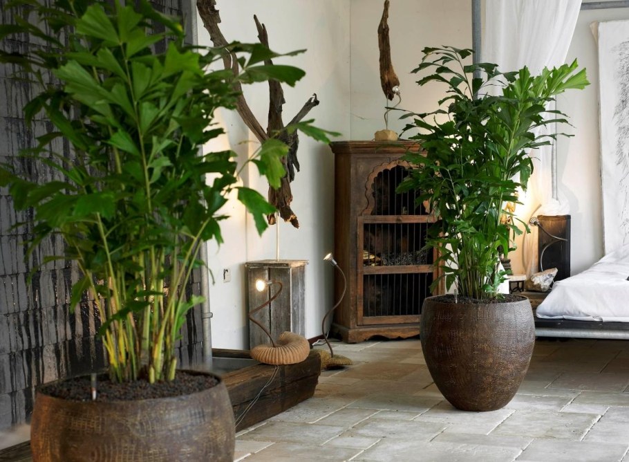 Lechuza puro 50 белый