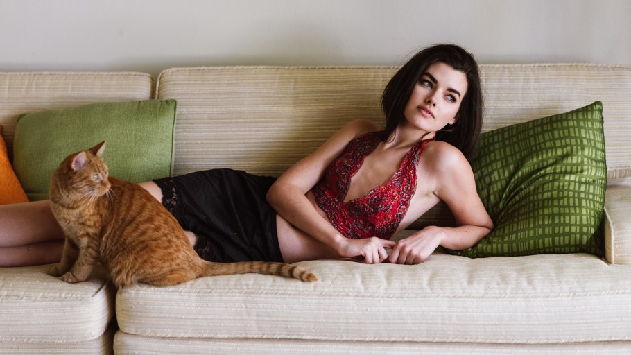 Кот на диване