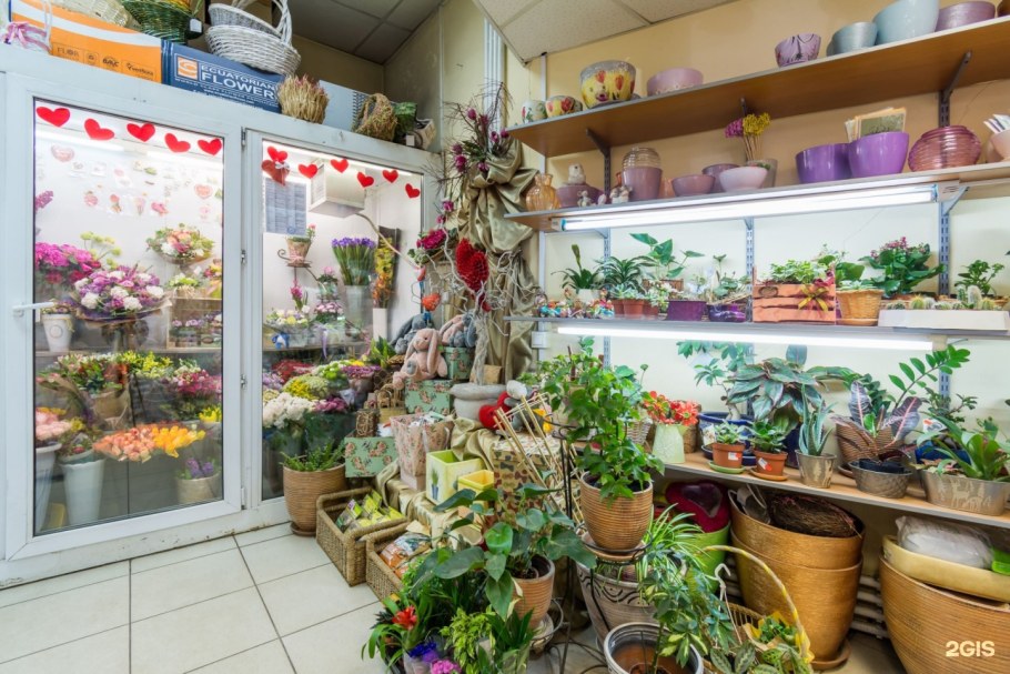 Красивые магазины цветов