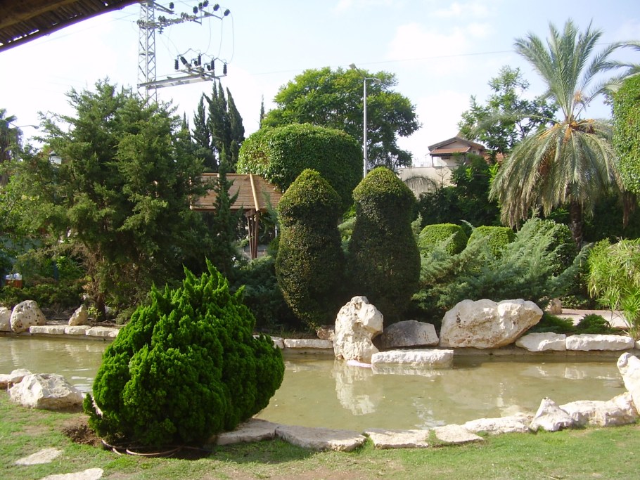 Японский сад текстура