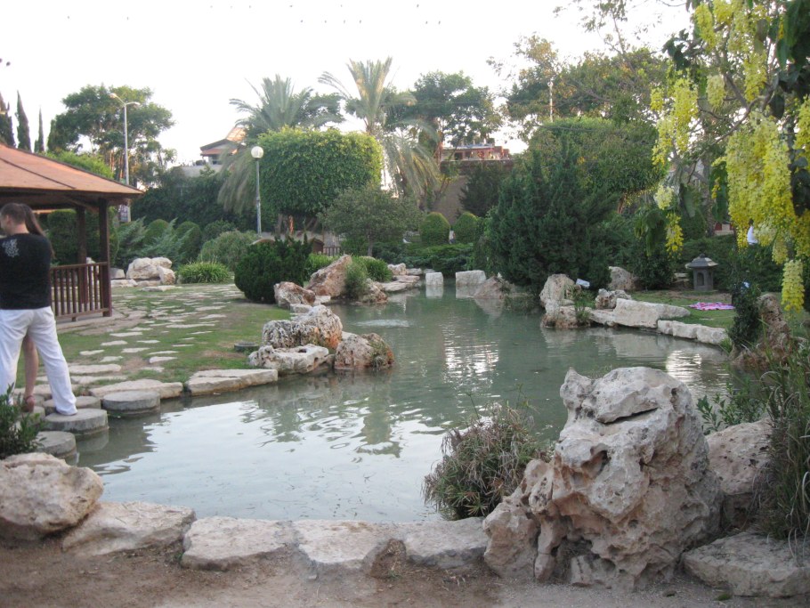 Японский сад в Холоне