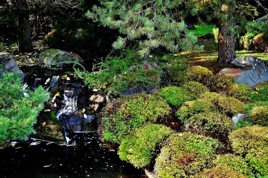 Японский сад Сан Франциско схема