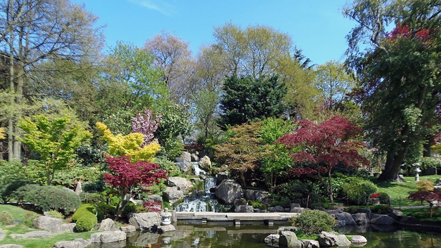 Ландшафтный пейзажный сад Японии