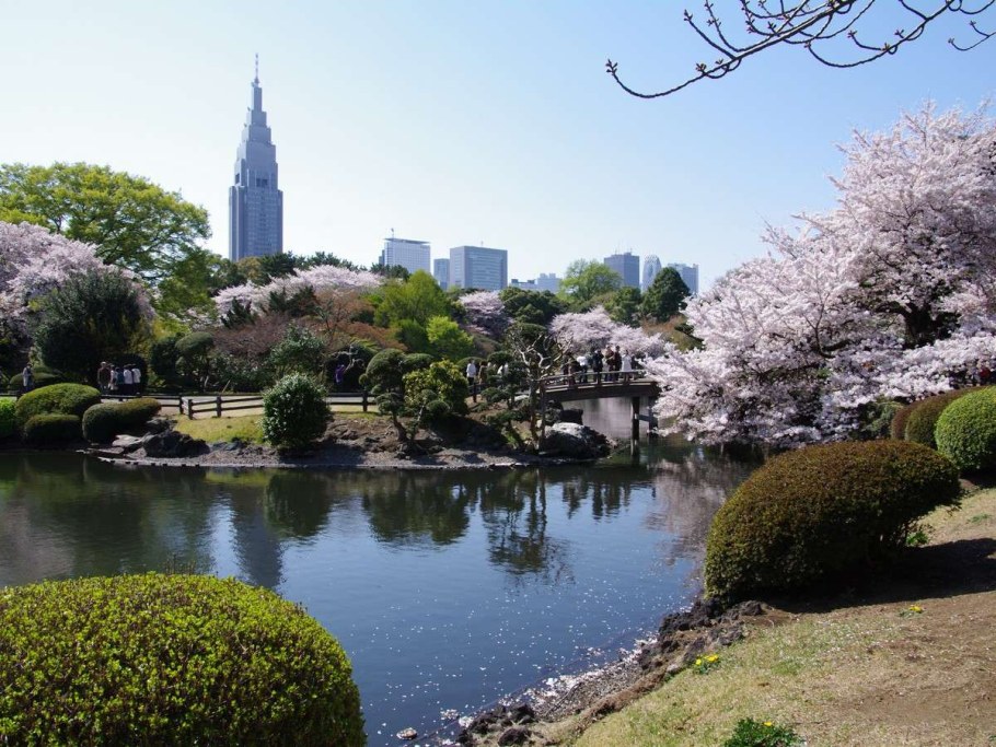 Денвер Колорадо Ботанический сад