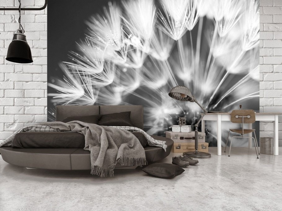 Фотообои перья в интерьере