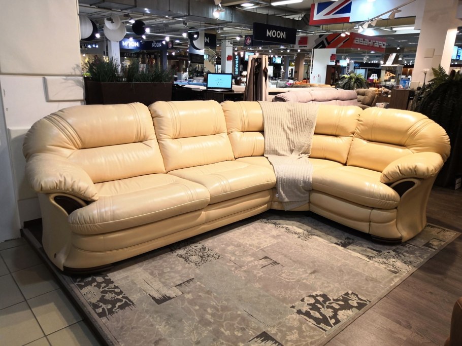 Эшфорд диван Британика