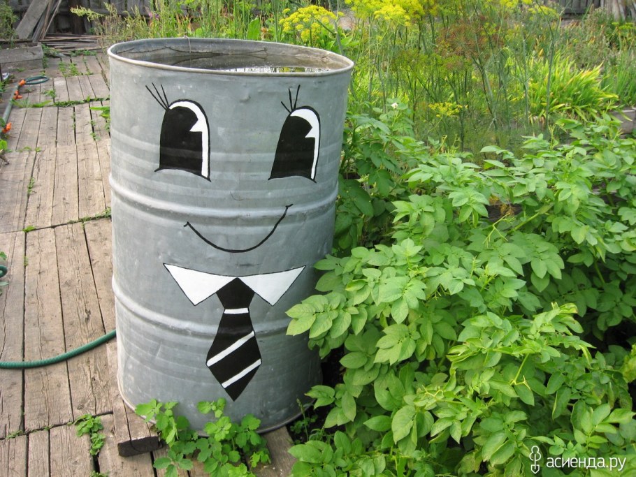 Бочки в огороде