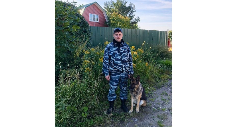 Лесные ресурсы Приморского края карта