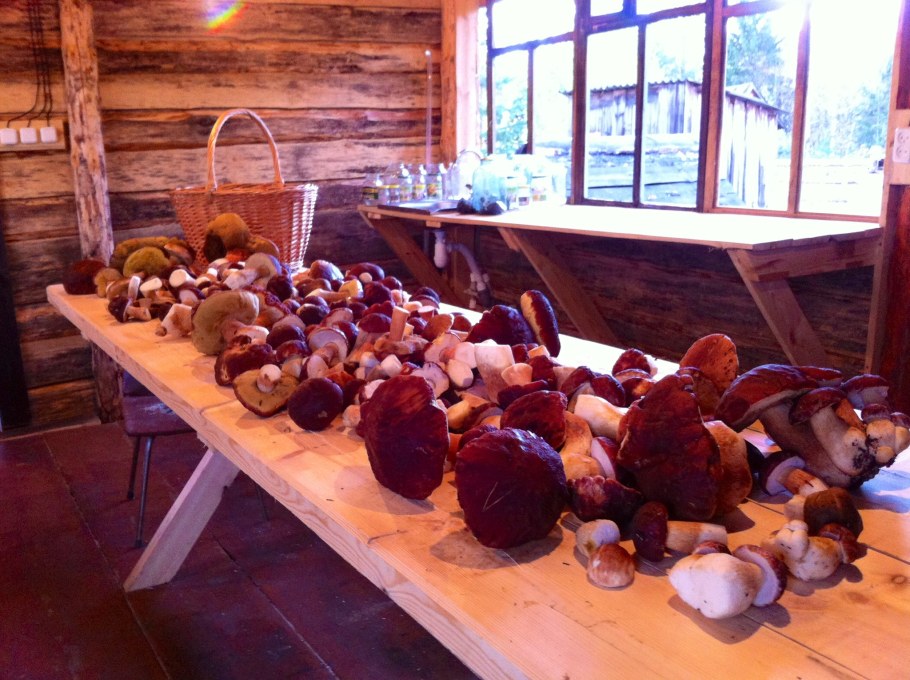 Михалков Сергей Владимирович книги произведения для детей