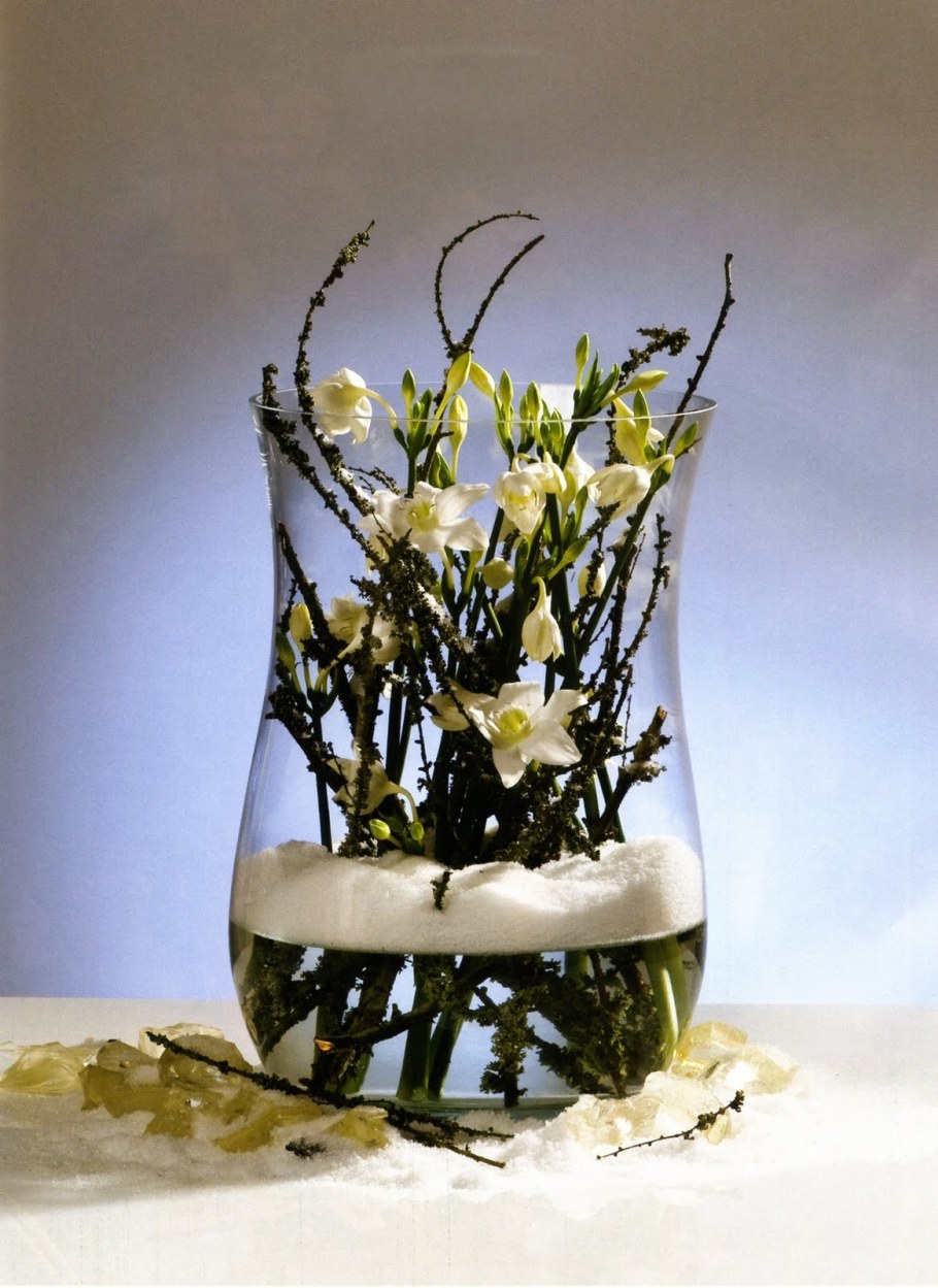 Дендробиум во флористике