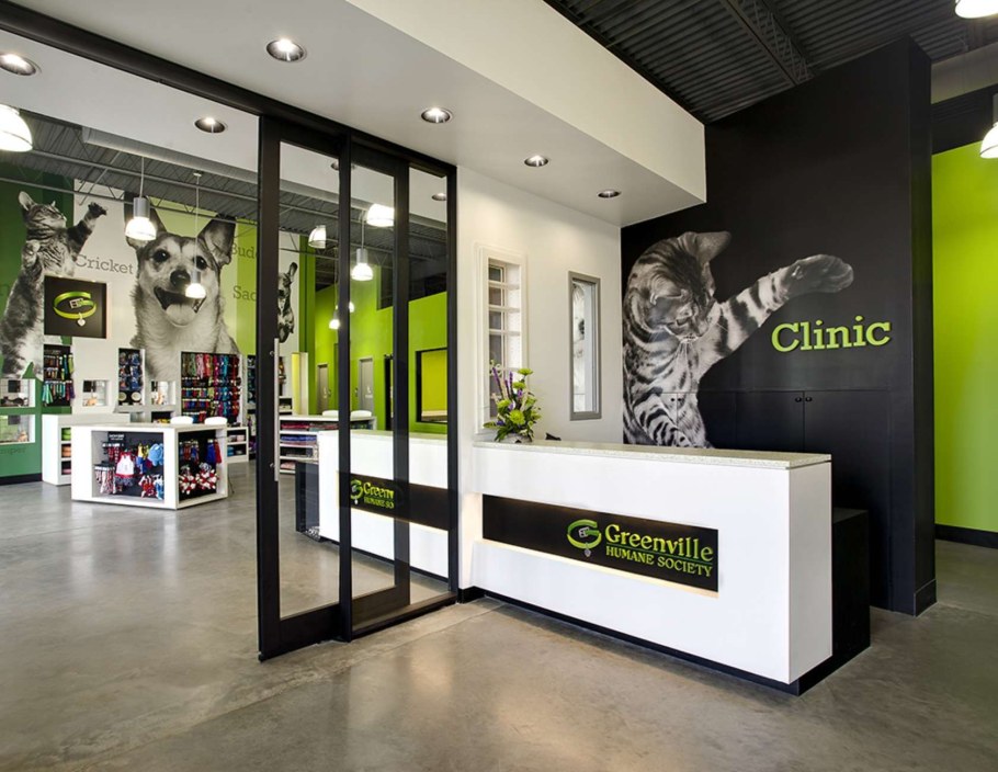 Зоомагазин интерьер