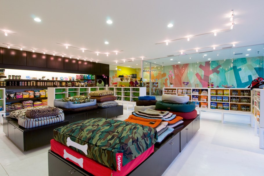 Ветеринарная клиника дизайн