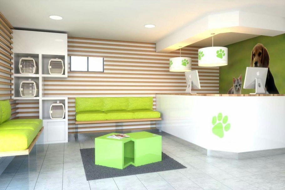 Зоомагазин интерьер