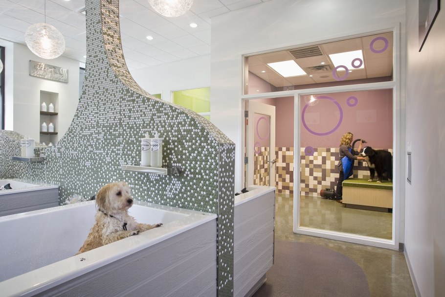 Мебель для зоомагазина