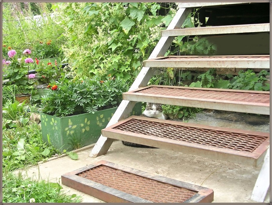 Лестница ступени для дачи