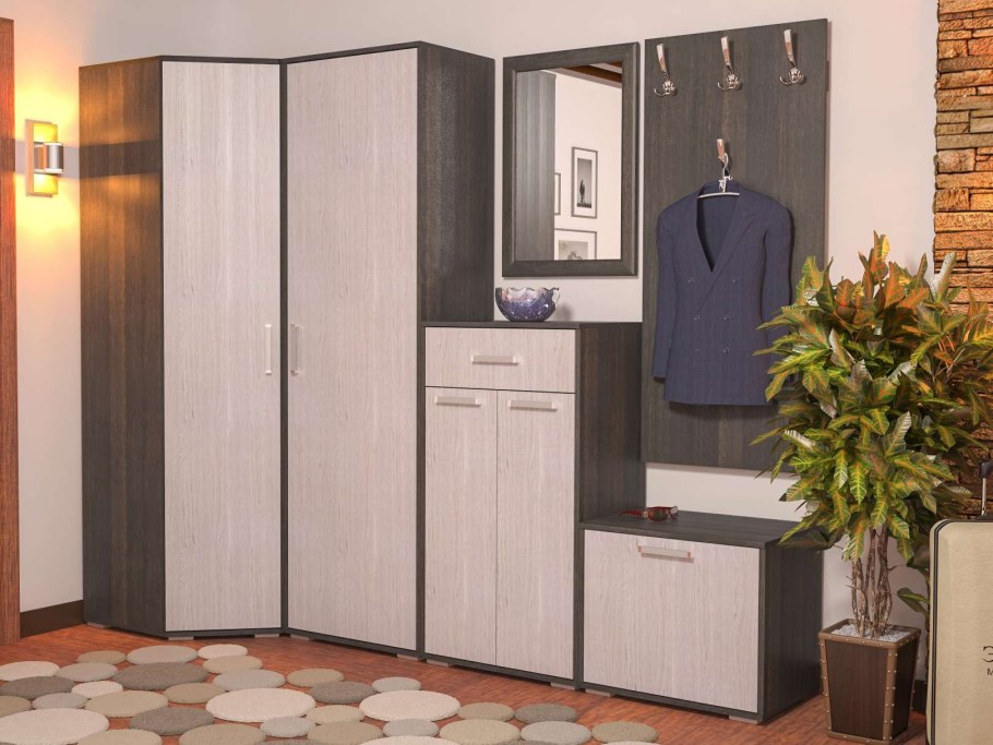 Шкаф купе Элна 1000