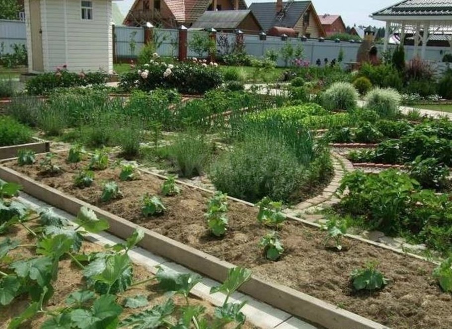 Благоустройство дачного участка с огородом