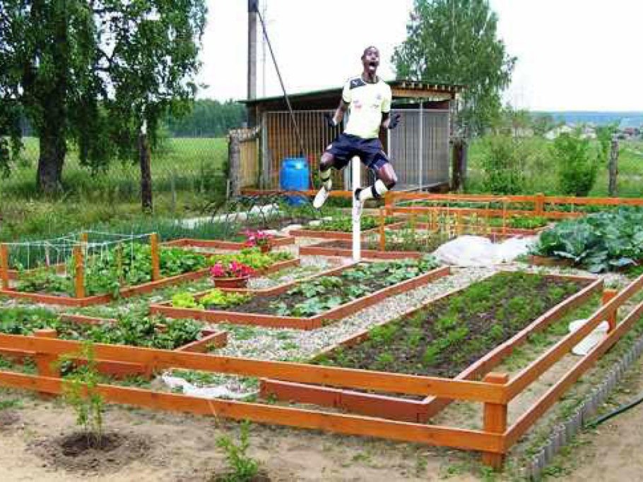 Привести огород в порядок