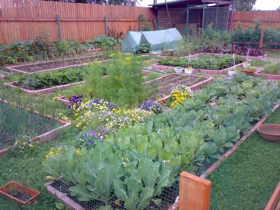 Огород в деревне планировка