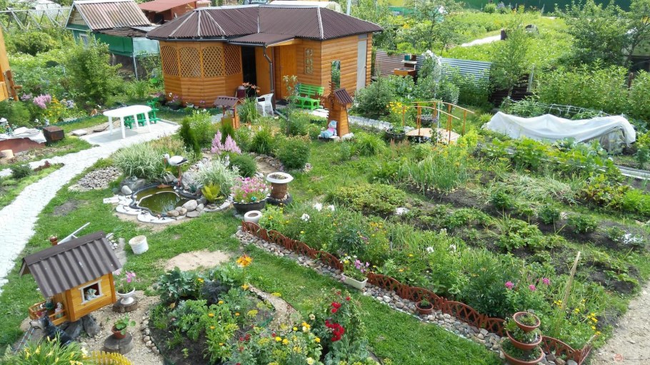 Реальные дачи 6 соток