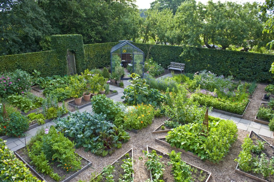 Планировка сада и огорода