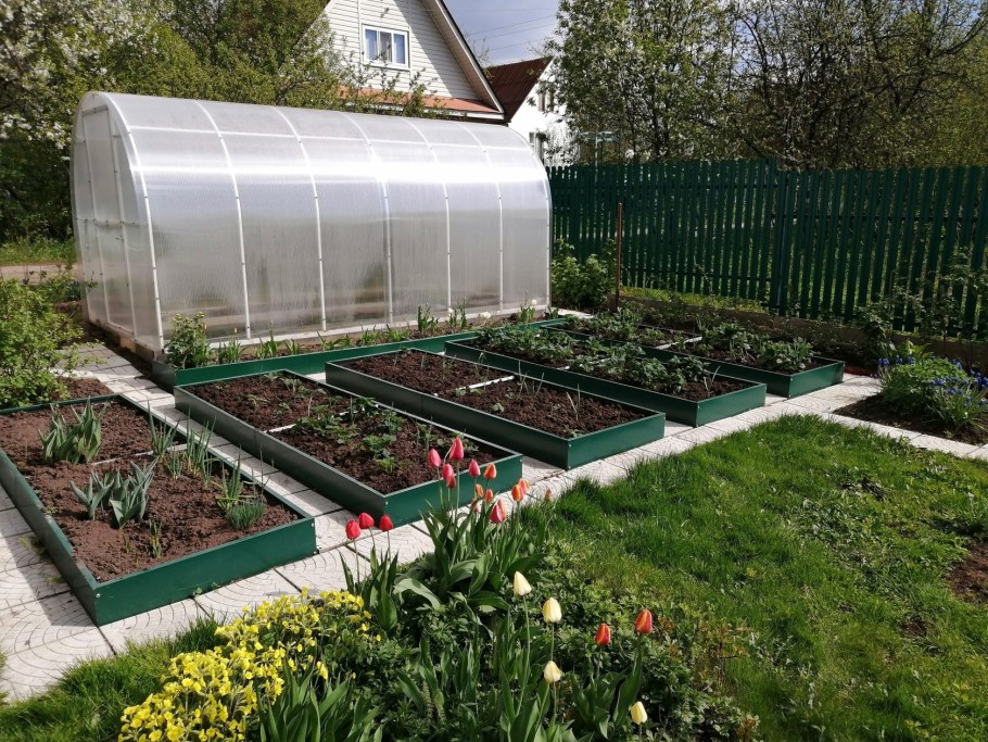 Теплица в огороде