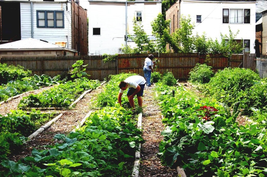 Планировка сада огорода в деревне