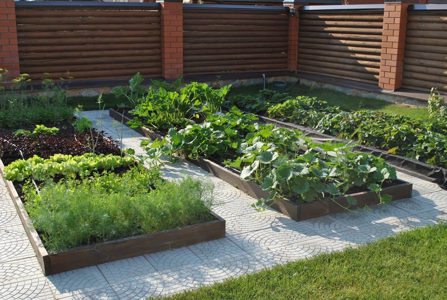 Зонирование огорода