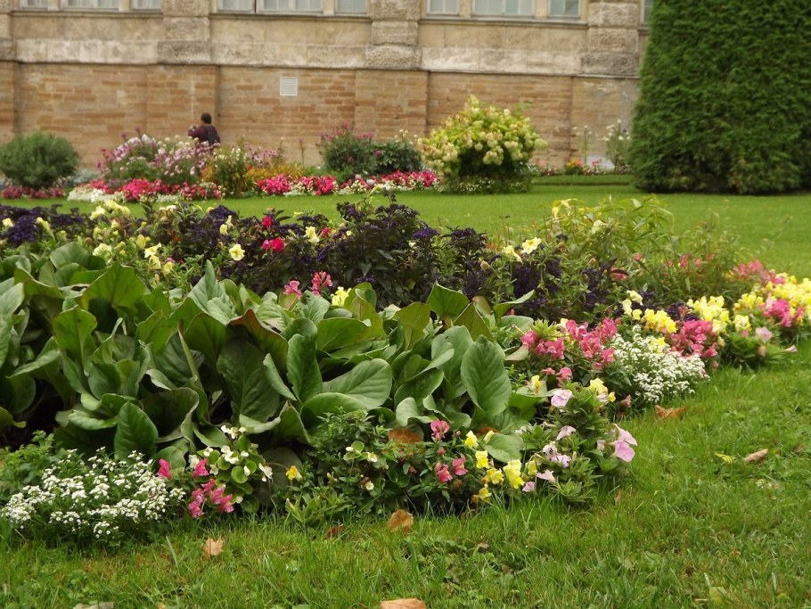 Альпийская горка с лилейником