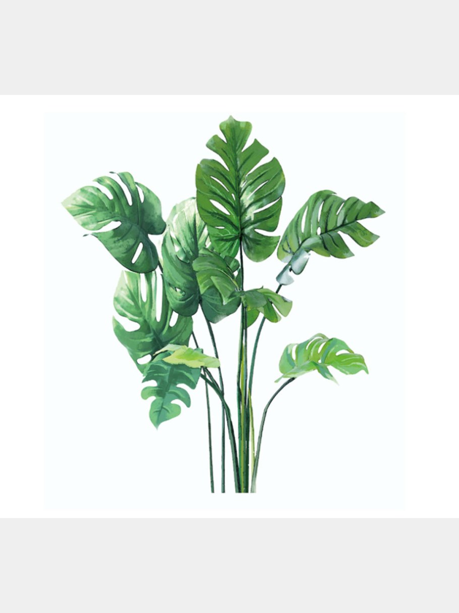 Фотообои листья