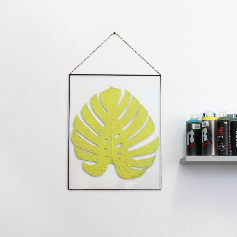 Листья монстеры на стене