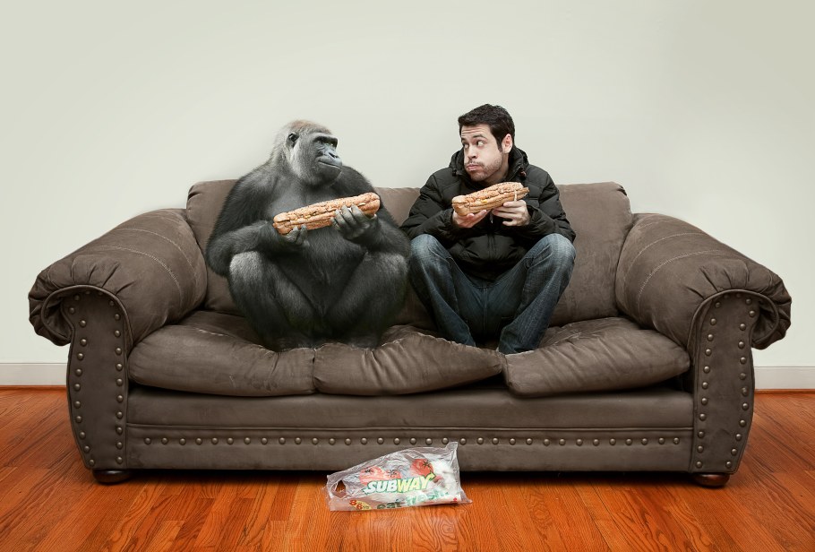 Дизайнерские диваны