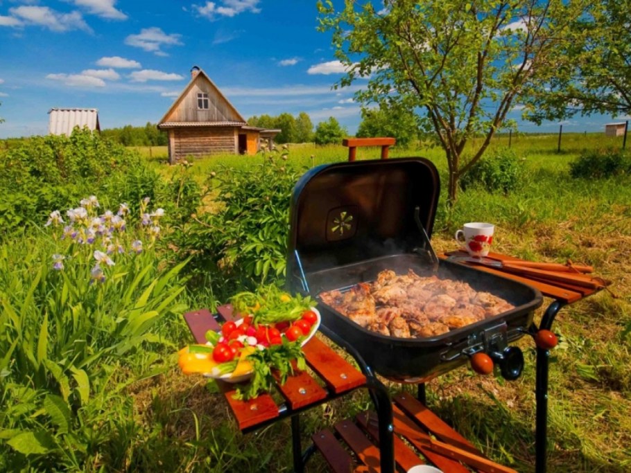 Шашлыки на даче