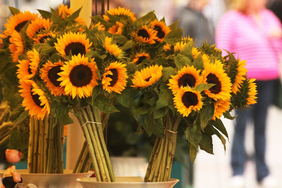 Красивые букеты из подсолнухов