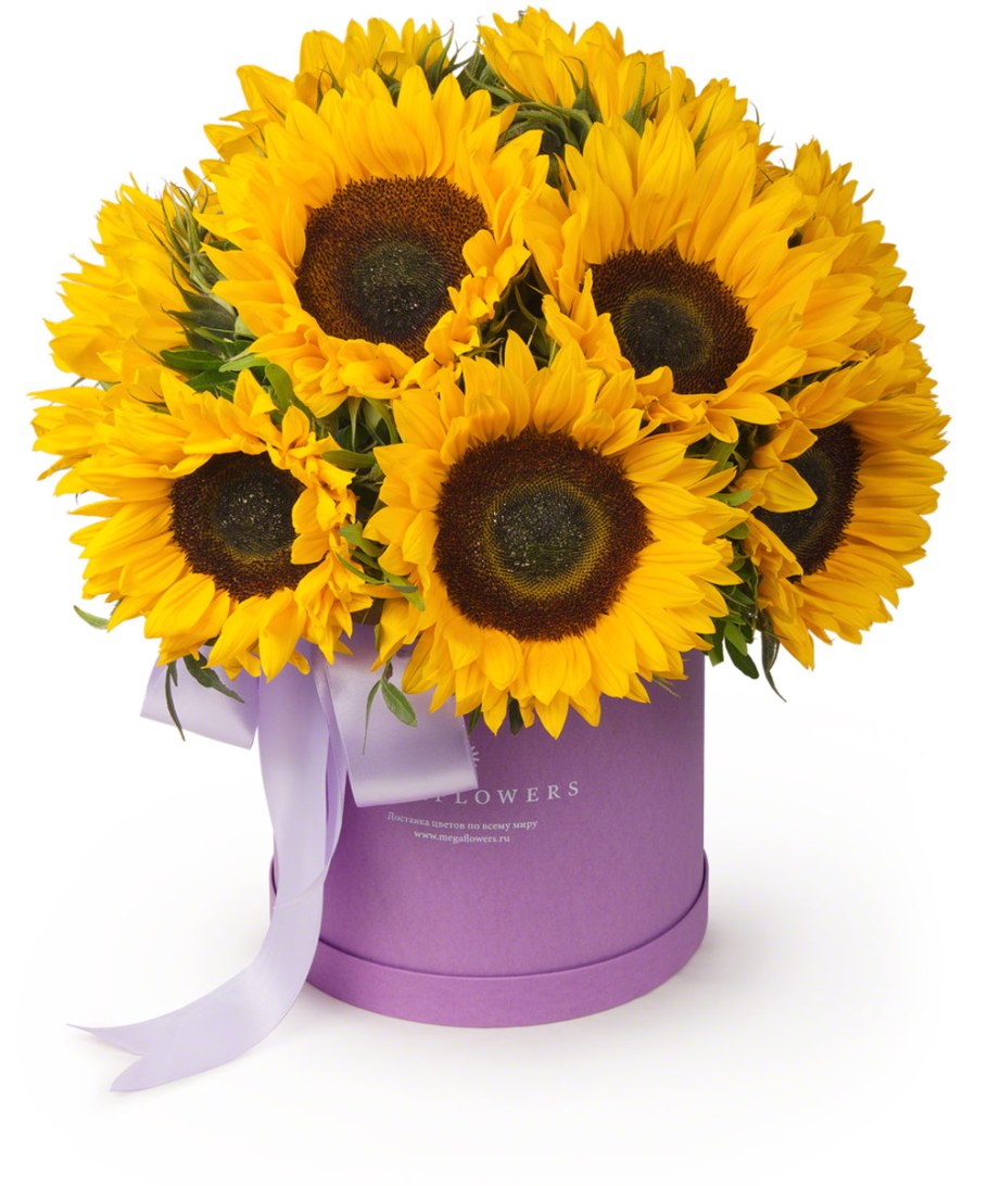 Букет с подсолнухами и гипсофилой