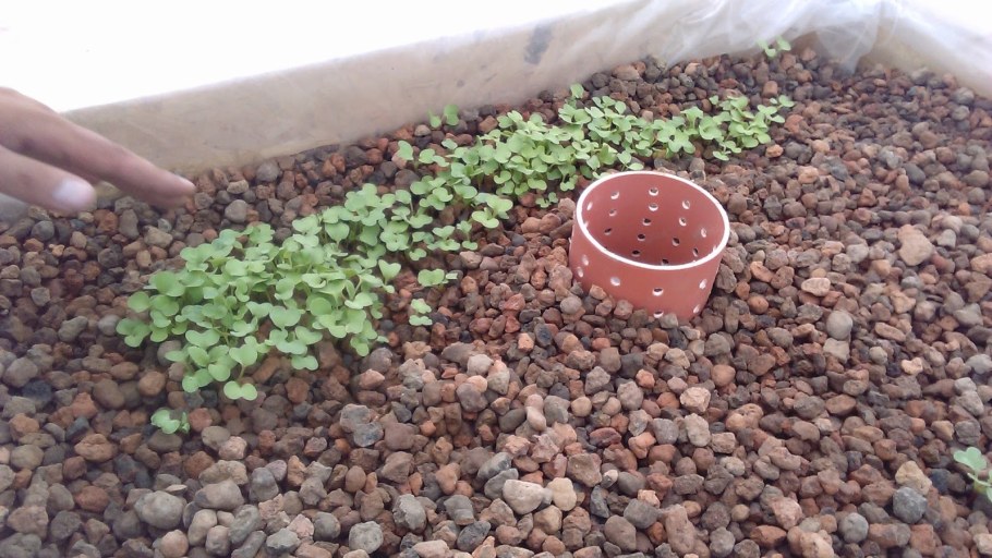 Керамзит фракция 5-20