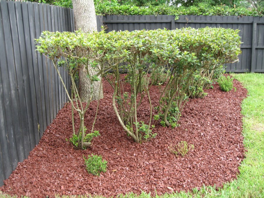 Садовые дорожки из керамзита