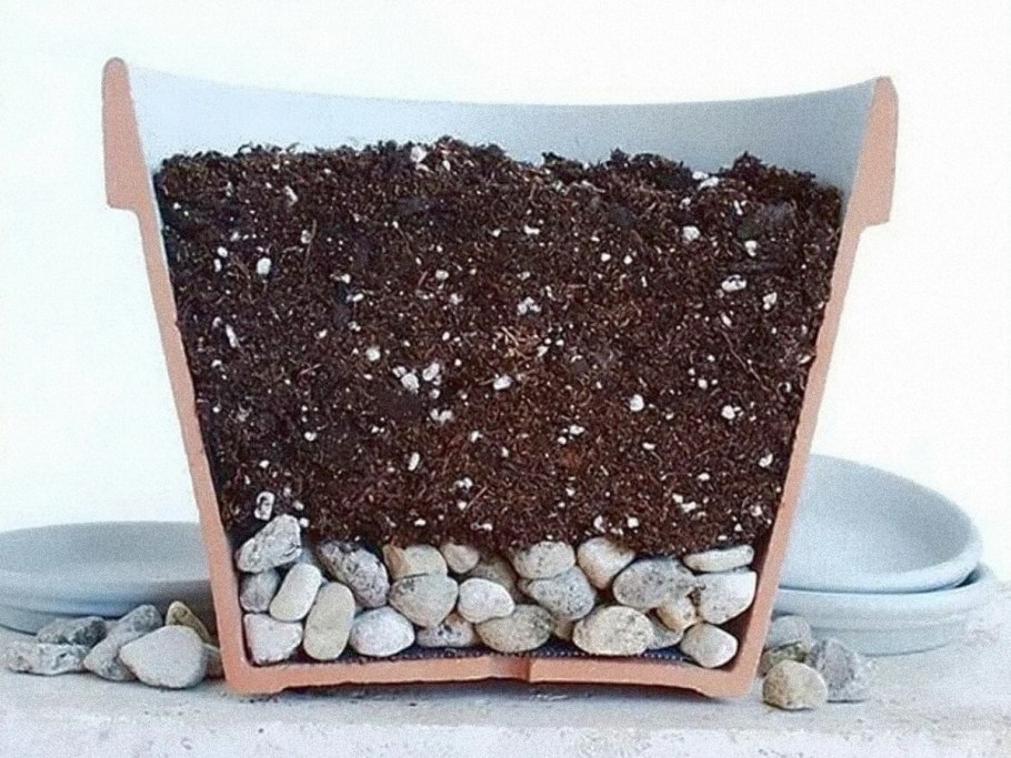 Дорожки в теплице