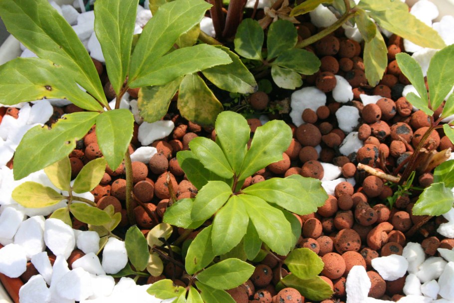 Керамзит для стройки