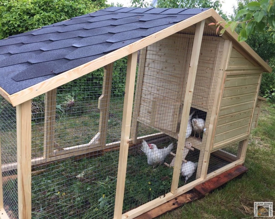 Курятник на 10 кур