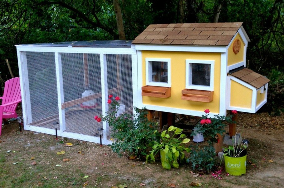 Красивый курятник