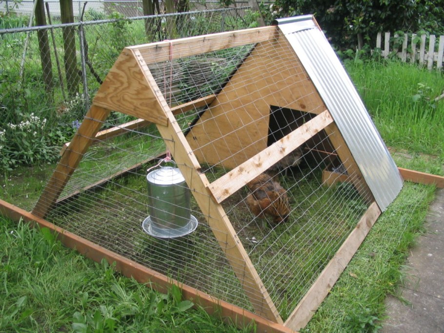 Chicken Coop Курятники