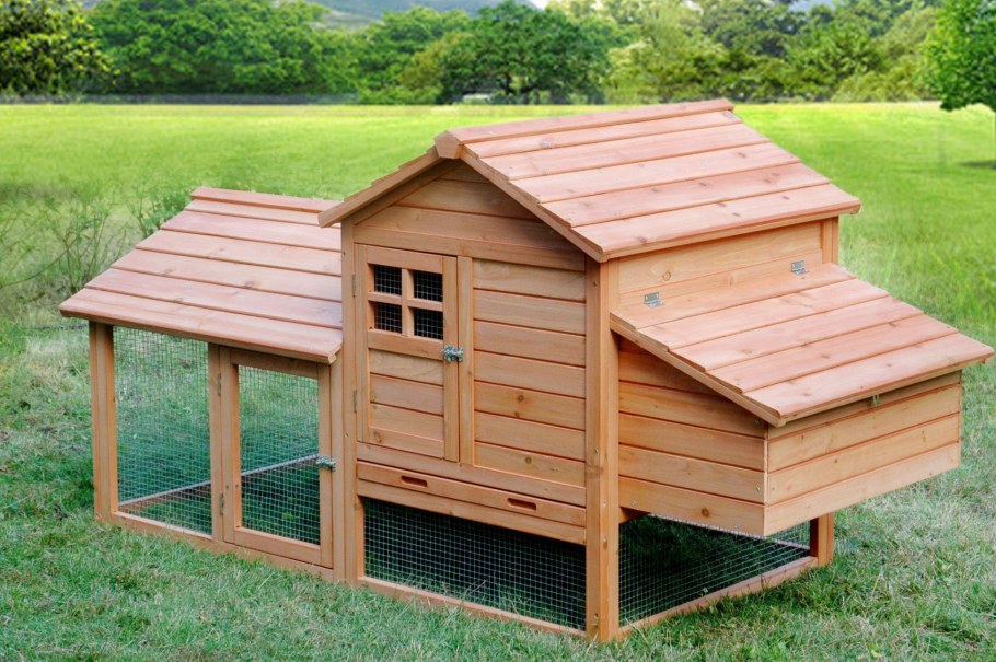 Курятник 4х5