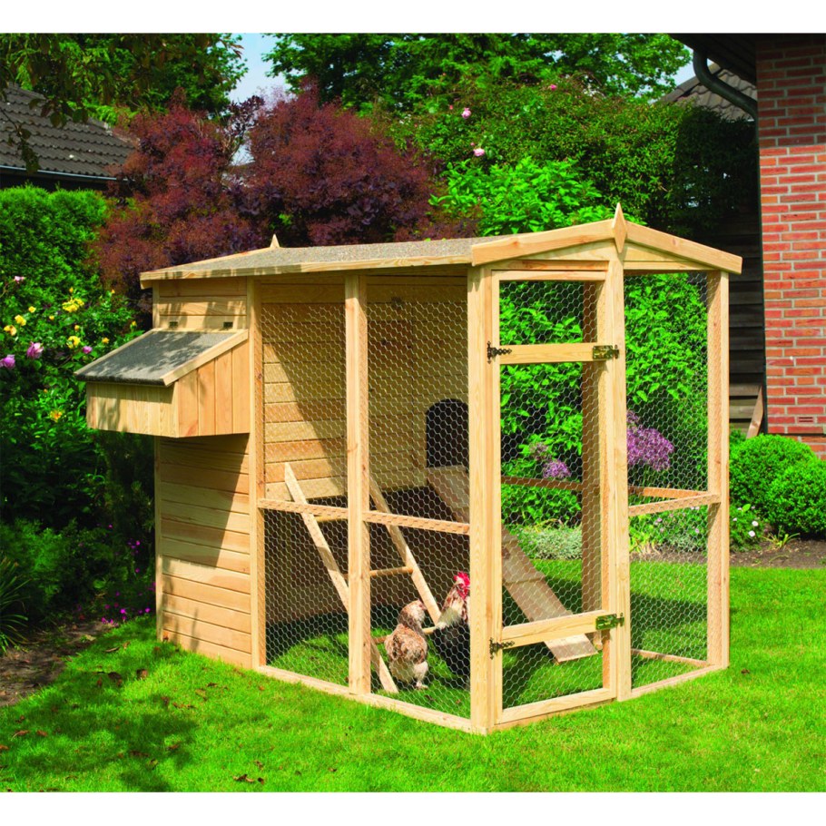 Мини курятник на 5 кур