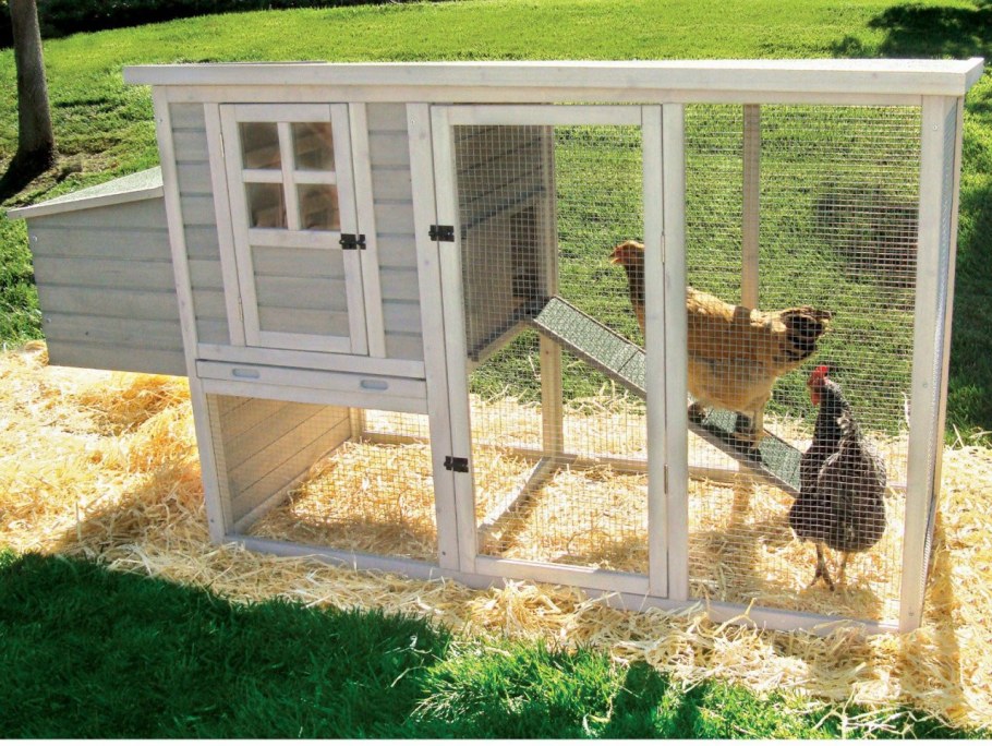 Домик для кур