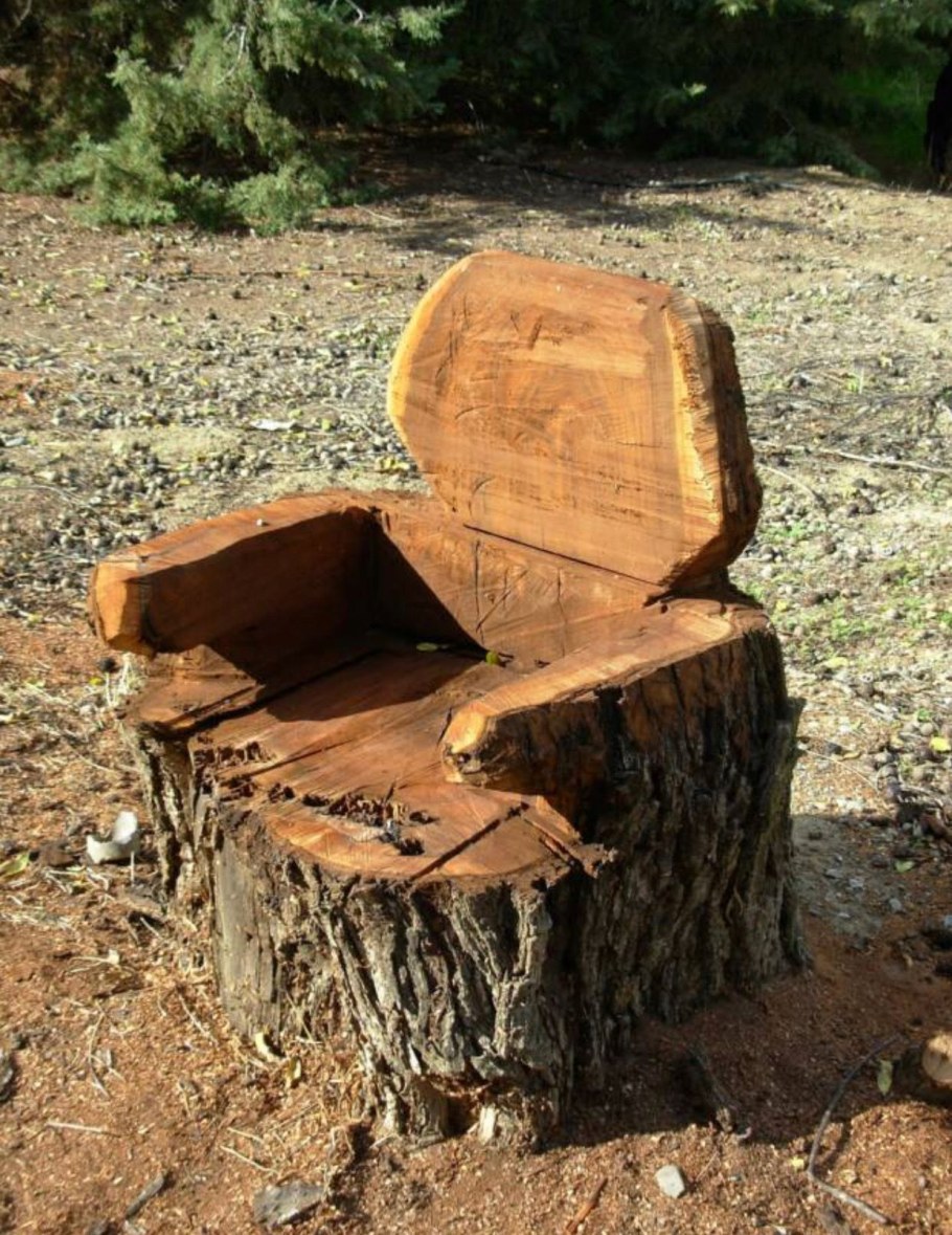 Стол из коряги