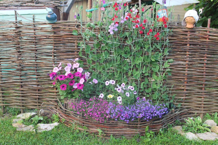 Забор плетень лоза